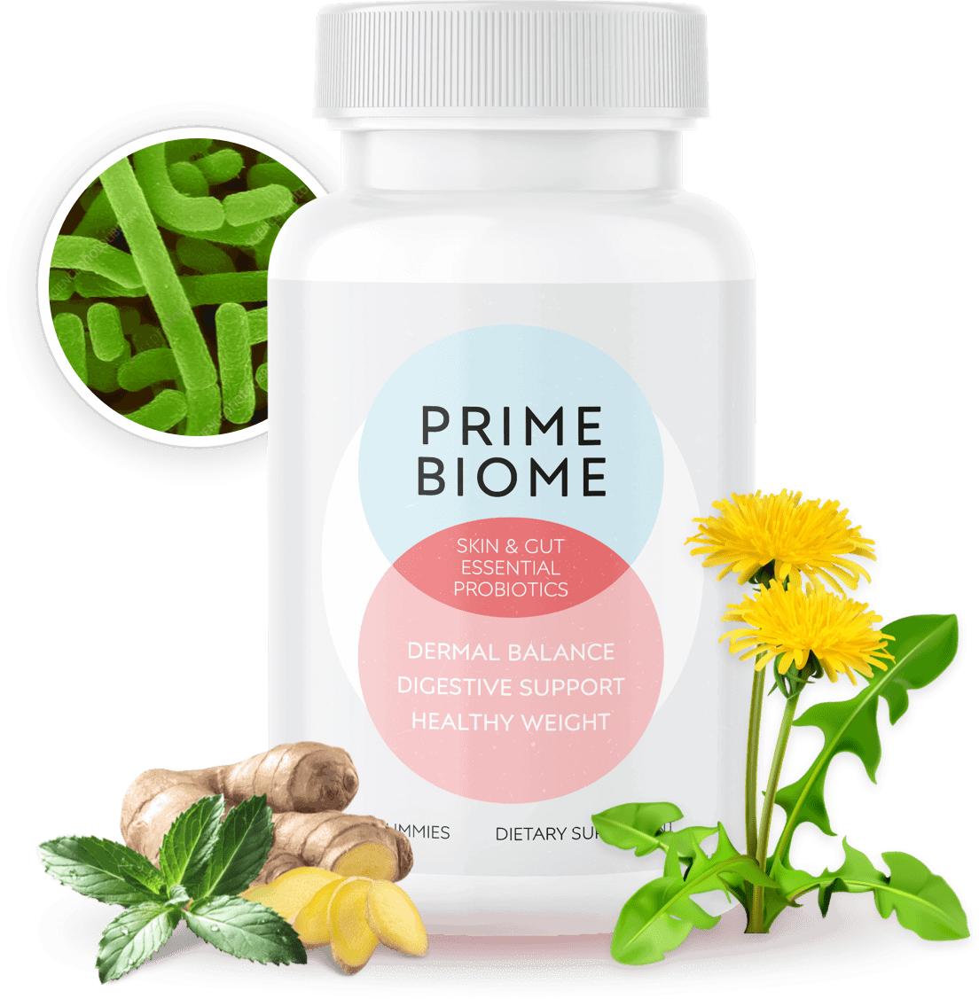 primebiome-official-buy-online-today