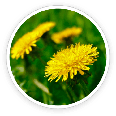 prime-biome-official-buy-online